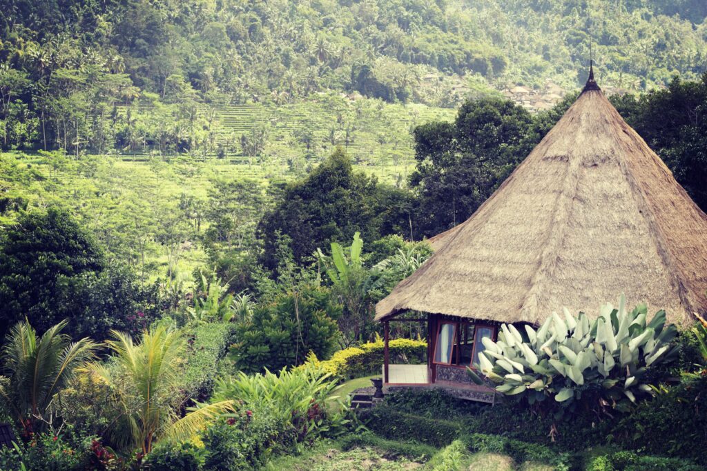 bali-august-2014_21